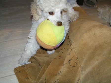 ...a potahat se o balonek...